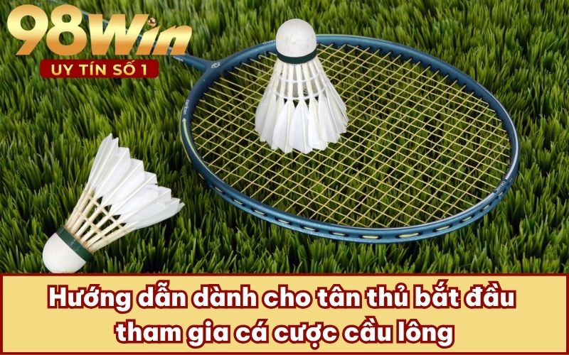Hướng dẫn dành cho tân thủ bắt đầu tham gia cá cược cầu lông